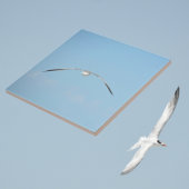 Royal Tern in Flight Wings Spread Sky Coastal Blue Tegeltje