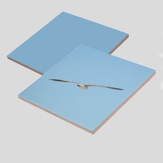 Royal Tern in vlucht Blue Sky Kust Tegeltje