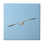 Royal Tern in vlucht Blue Sky Kust Tegeltje (Voorkant)