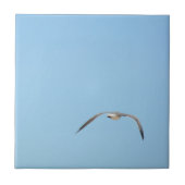 Royal Tern in vlucht Zeevogel Kustblauw Tegeltje (Voorkant)