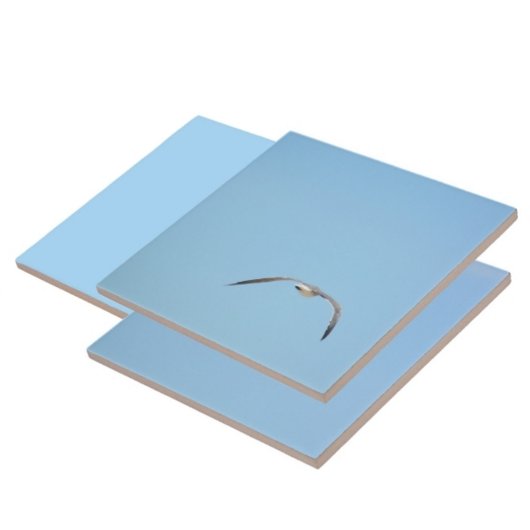 Royal Tern in vlucht Zeevogel Kustblauw Tegeltje