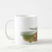 Royal Tern, John Audubon Koffiemok (Links)