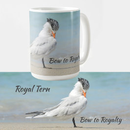Royal Tern Seabird Bow to Royalty Koffiemok