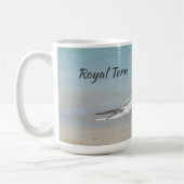 Royal Tern Seabird Bow to Royalty Koffiemok (Links)
