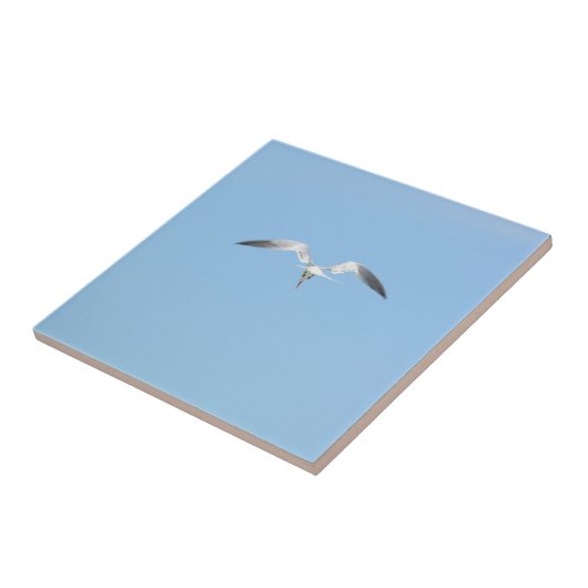 Royal Tern Seabird in Flight Sky Blue Tegeltje (Zijkant)
