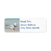 Royal Tern Seabird Return Address Etiket (Voorkant)
