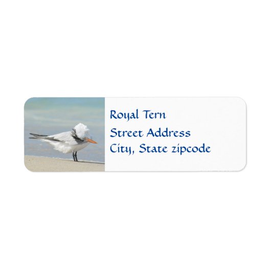 Royal Tern Seabird Return Address Etiket (Voorkant)