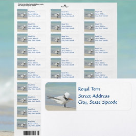 Royal Tern Seabird Return Address Etiket