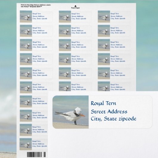Royal Tern Seabird Return Address Etiket