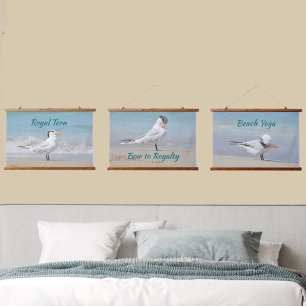 Royal Tern Seabirds Beach Photographic Coastal Hangend Wandkleed