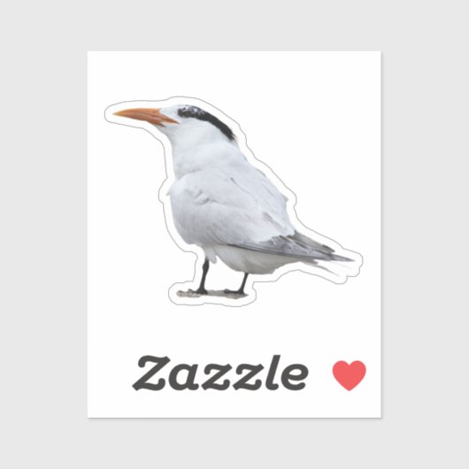 Royal Tern Sticker (Vel)