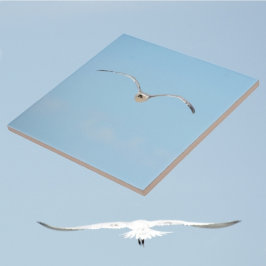 Royal Tern vlucht Kust Sky Blue Tegeltje