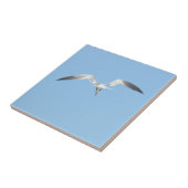 Royal Tern vlucht Kustblauw Tegeltje (Zijkant)