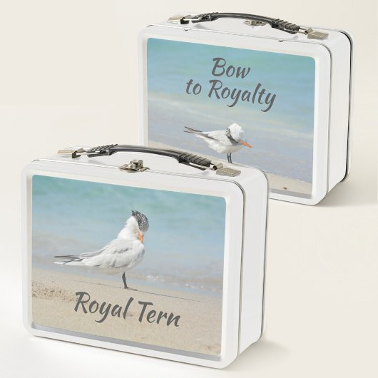 Royal Tern Zeevogels Buig voor Royalty Beach
