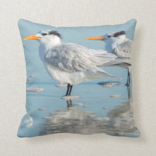 Royal Terns op strand Kussen