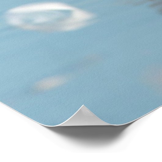 Royal Terns op strand Poster (Hoek)