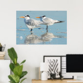 Royal Terns op strand Poster (Thuiskantoor)