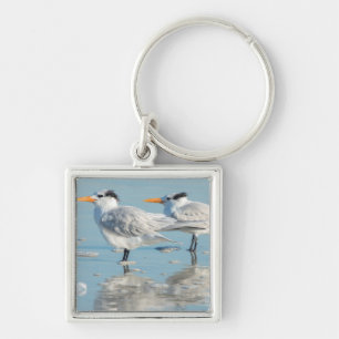 Royal Terns op strand Sleutelhanger