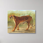 Royal Tiger Marching (door Rosa Bonheur) Canvas Afdruk (Voorkant)