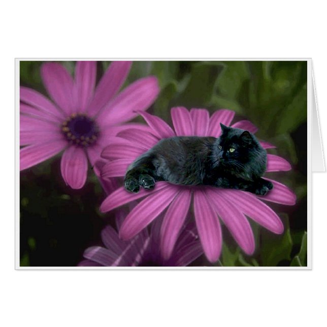 Royalty (Voorkant Horizontaal)