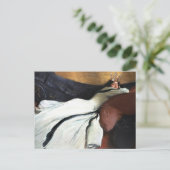 Royalty is zo chique briefkaart (Staand voorkant)