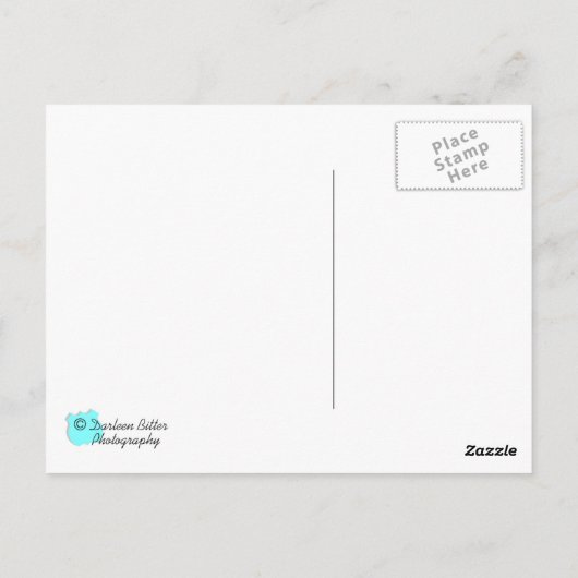 Roy's Cafe Briefkaart (Achterkant)