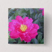 Roze 3 Button (Voorkant)