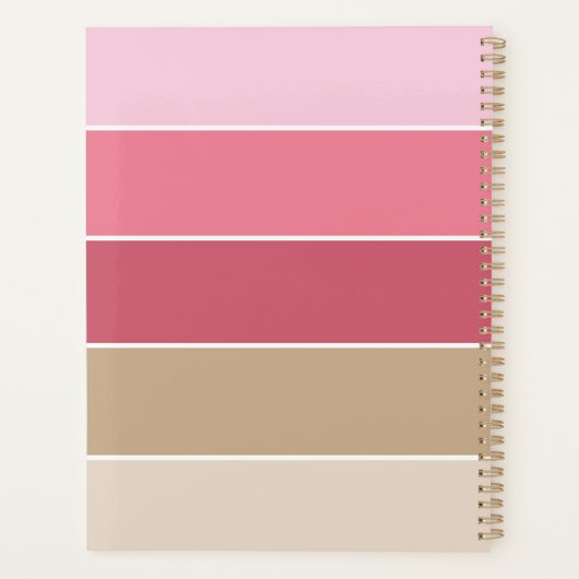 Roze Aangepaste Zomer Kleurenblok Strepen Planner (Achterkant)