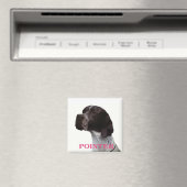 Roze aanwijzer magneet (Insitu (Vaatwasser))