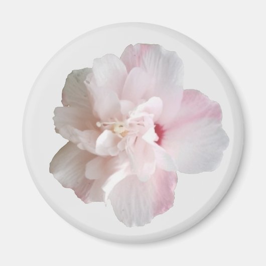 Roze aardbery Smoothie Althea Magnet (Voorkant)