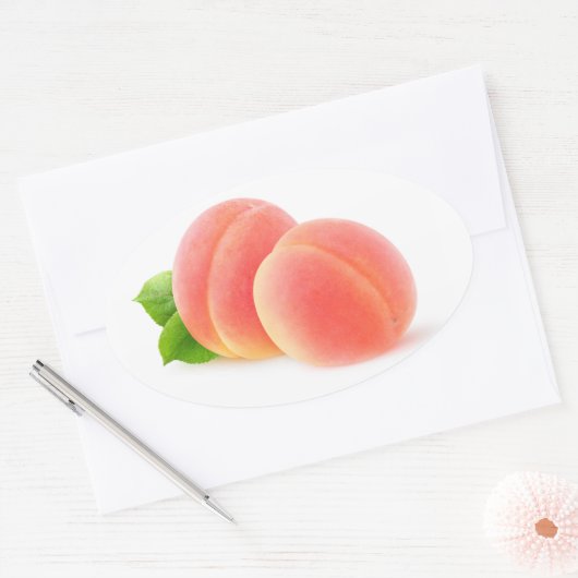 Roze abrikozen ovale sticker (Envelop)