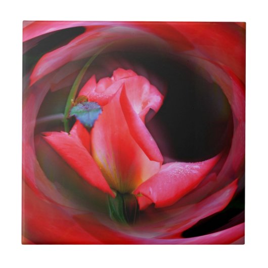 Roze Abstracte kunst met Rosebud Flower Tegeltje (Voorkant)
