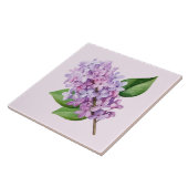 Roze achtergrond Sering bloesem kunst Tegeltje (Zijkant)
