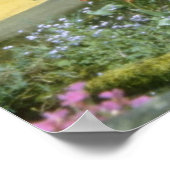 Roze Adare, Limerick-bloemen Poster (Hoek)