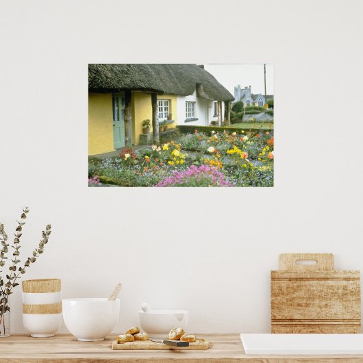 Roze Adare, Limerick-bloemen Poster (Keuken)