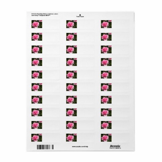 Roze Adresetiketten Etiket (Full Sheet)