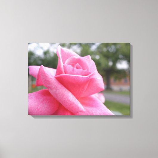 Roze afbeelding canvas afdruk (Voorkant)