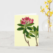 Roze afbeelding rododendron kaart (Gele Bloem)