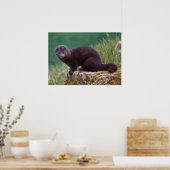 Roze afdrukken poster (Keuken)