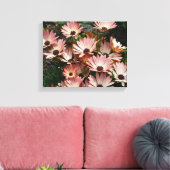 Roze African Daisy Flowers Canvas Afdruk (Insitu (Woonkamer))