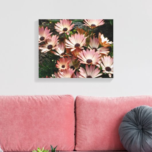 Roze African Daisy Flowers Canvas Afdruk (Insitu (Woonkamer))