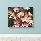 Roze African Daisy Flowers Canvas Afdruk (Insitu (Houten vloer))