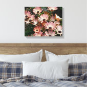 Roze African Daisy Flowers Canvas Afdruk (Insitu (Slaapkamer))
