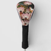Roze African Daisy Flowers Golfheadcover (Voorkant)