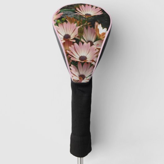 Roze African Daisy Flowers Golfheadcover (Voorkant)