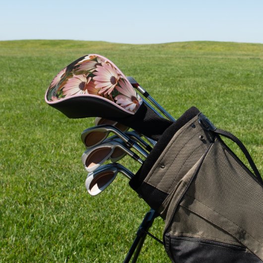 Roze African Daisy Flowers Golfheadcover (Insitu)
