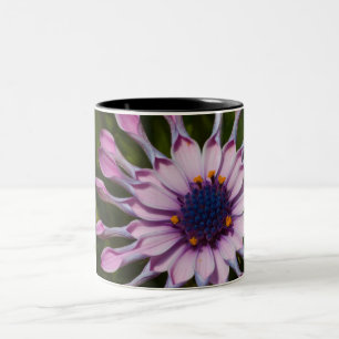 Roze African Daisy Tweekleurige Koffiemok