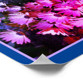 Roze Afrikaans Daisy Flowers Abstract getint Poster (Hoek)