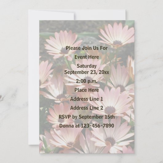 Roze Afrikaanse Daisy Flowers Party Kaart (Voorkant)