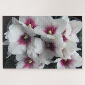 roze afrikaanse violette bloemen puzzel legpuzzel (Horizontaal)